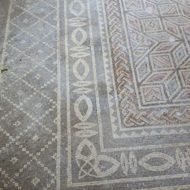 Mosaics at the Arceological Park