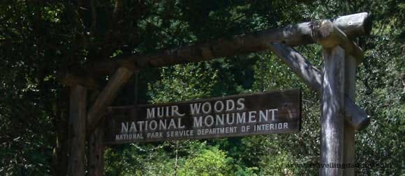 Welcome to Muir Woods