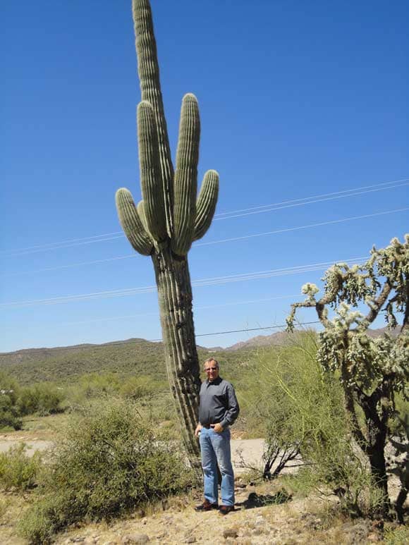 Two tall specimens, the pone on the left is the Cactus